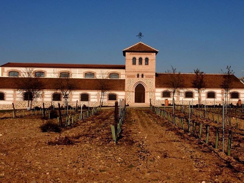 ВИНОДЕЛЬНЯ С ВИНГРАДНИКАМИ В ИСПАНИИ — фото 16