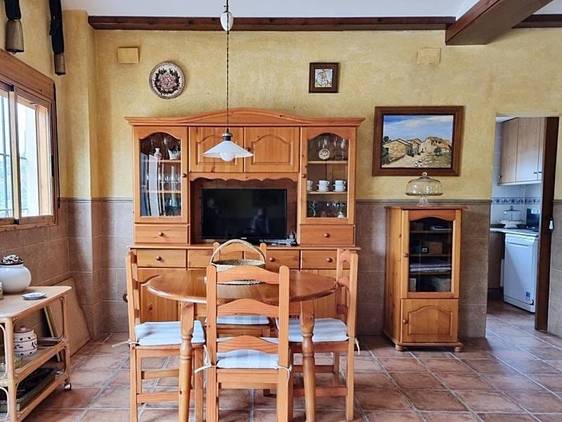 ПЛАНТАЦИЯ МАНДАРИНОВ В ИСПАНИИ — фото 10