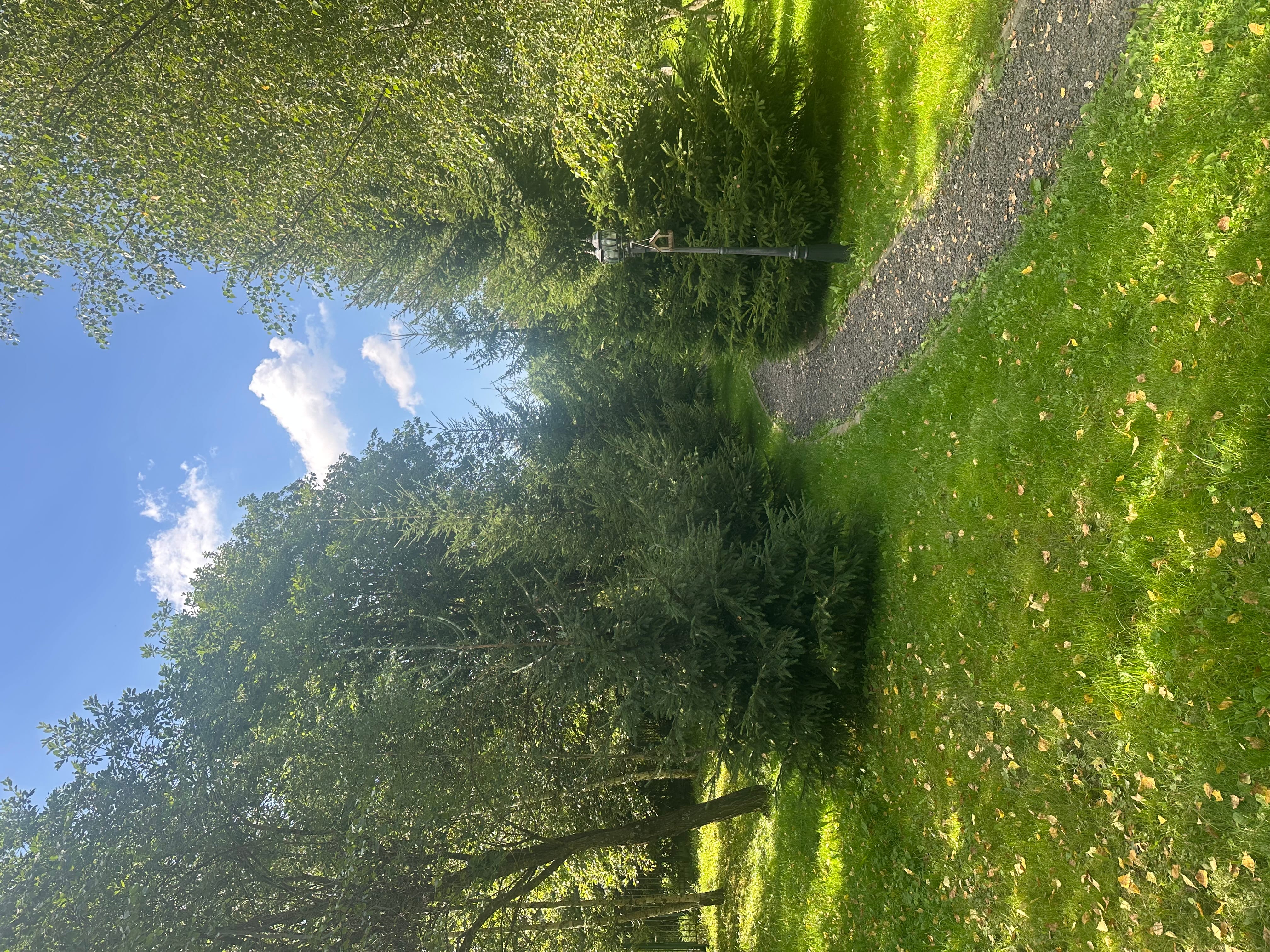 Земельный участок 23