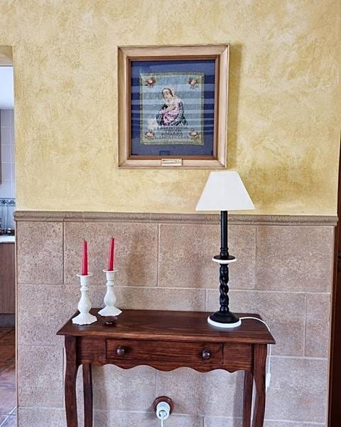 ПЛАНТАЦИЯ МАНДАРИНОВ В ИСПАНИИ — фото 7