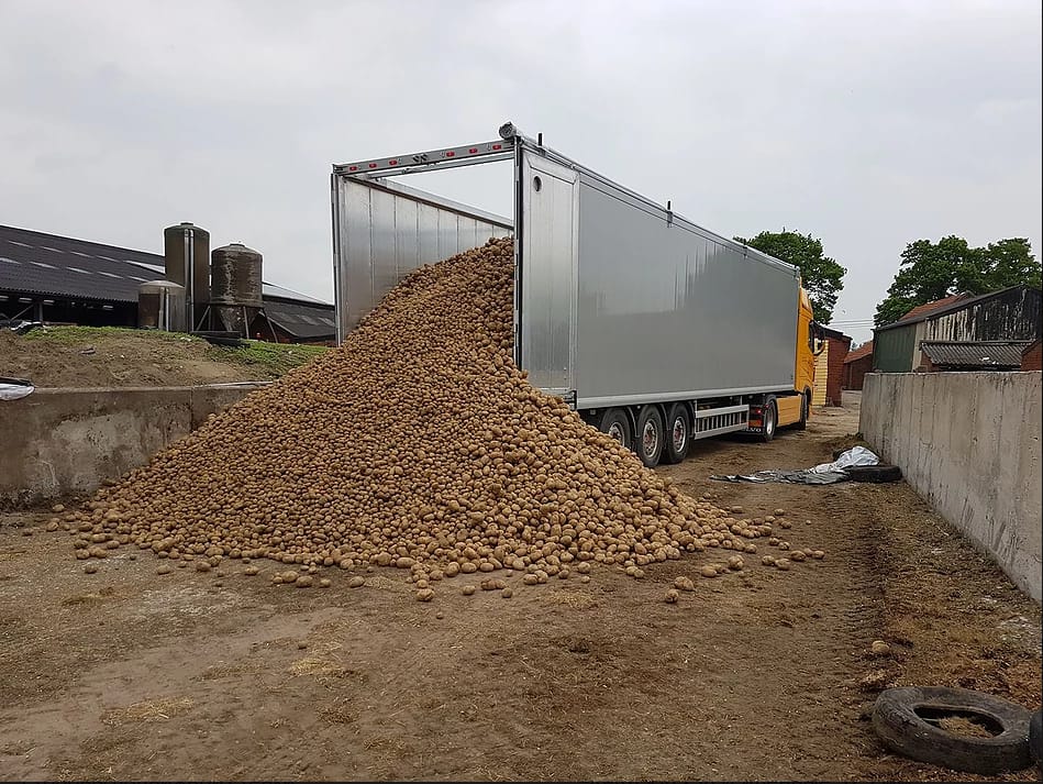 Перевозка любых сыпучих грузов Щеповозами 92 куб.  м — фото 3