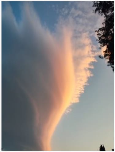 Участок ЛПХ 24 сотки с источником питьевой воды, Острогожский р-он — фото 4