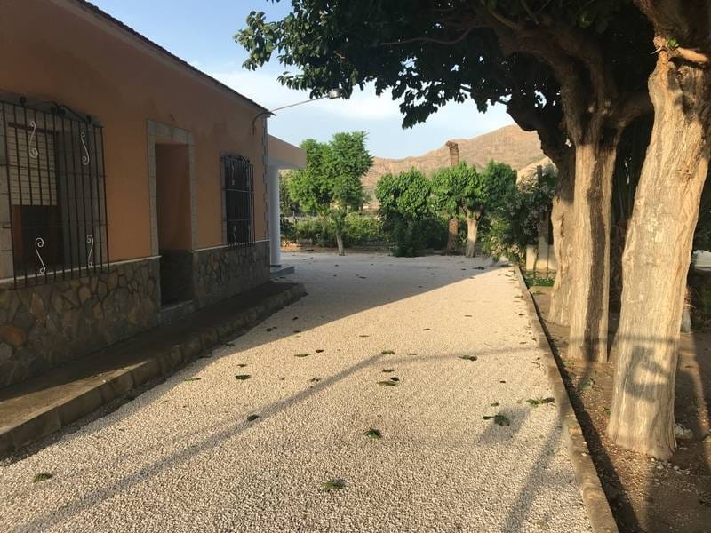 ПЛАНТАЦИЯ ЦИТРУСОВЫХ В ИСПАНИИ — фото 36