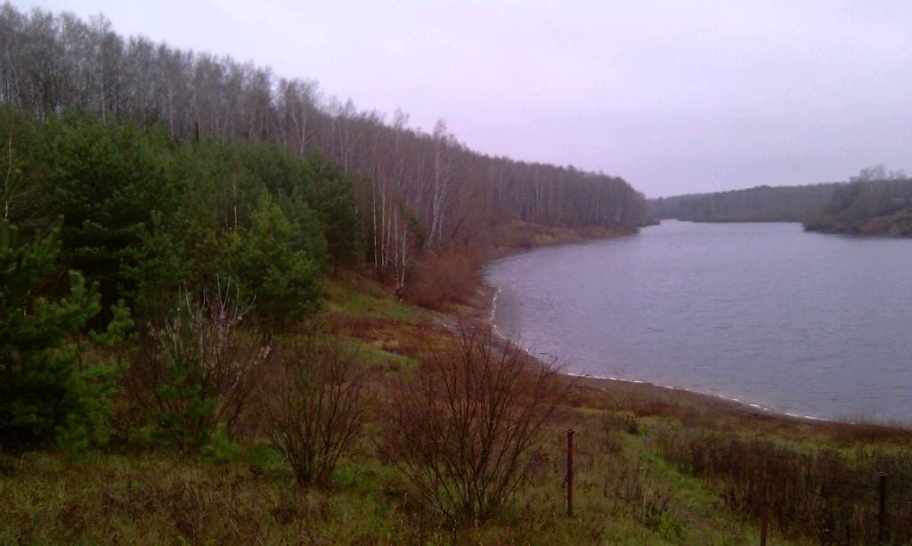 Участок ИЖС в деревне с газом и электричеством — фото 2