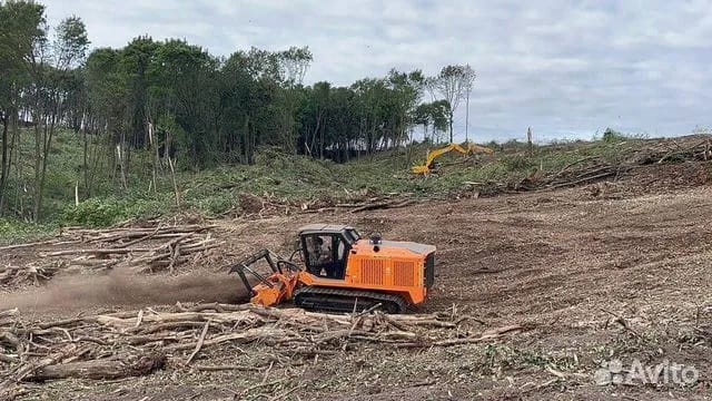 Расчистка территорий от деревьев и пней от 1 Га — фото 4