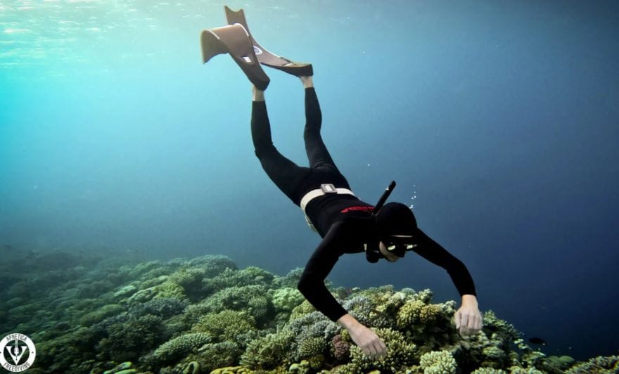 Нырни в водный мир — вселенную фридайвинга!