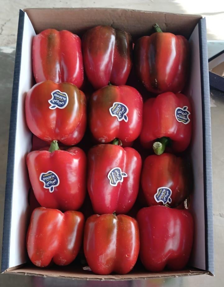 Перец светафор — фото 4