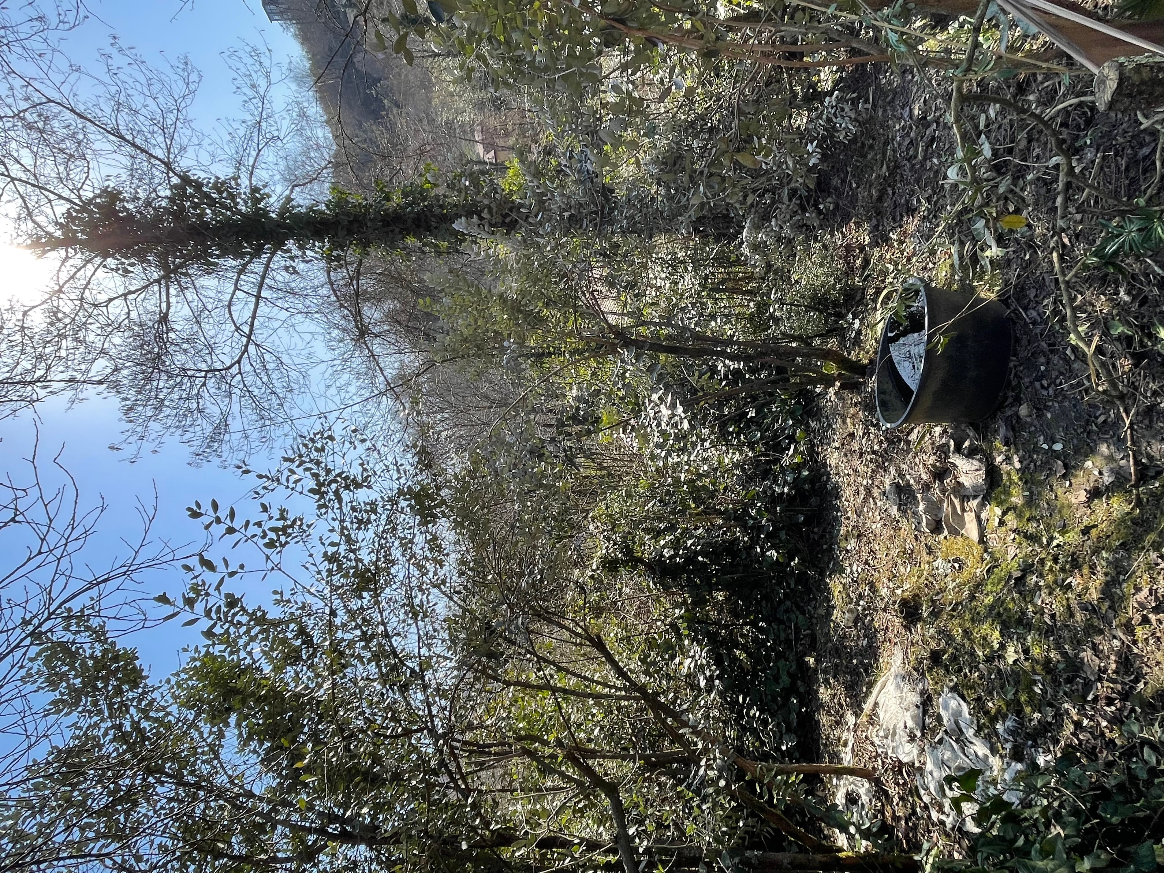 Земельный участок в Сочи — фото 4