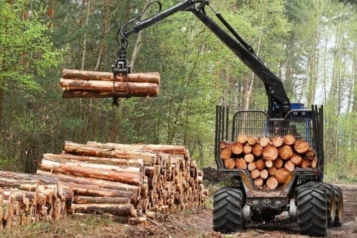 Масло талловое сырое и производные