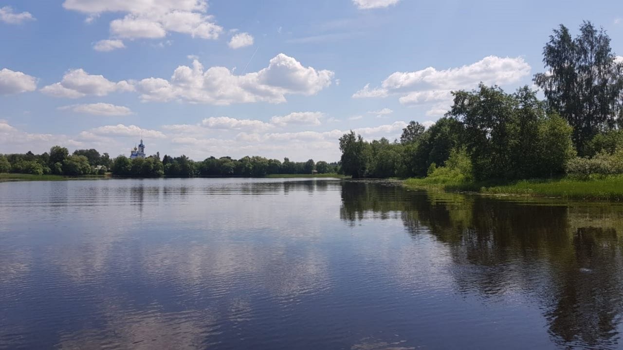 Земельный участок 57,2535 Га в дер. Панютино Калязинского района Тверской области — фото 8