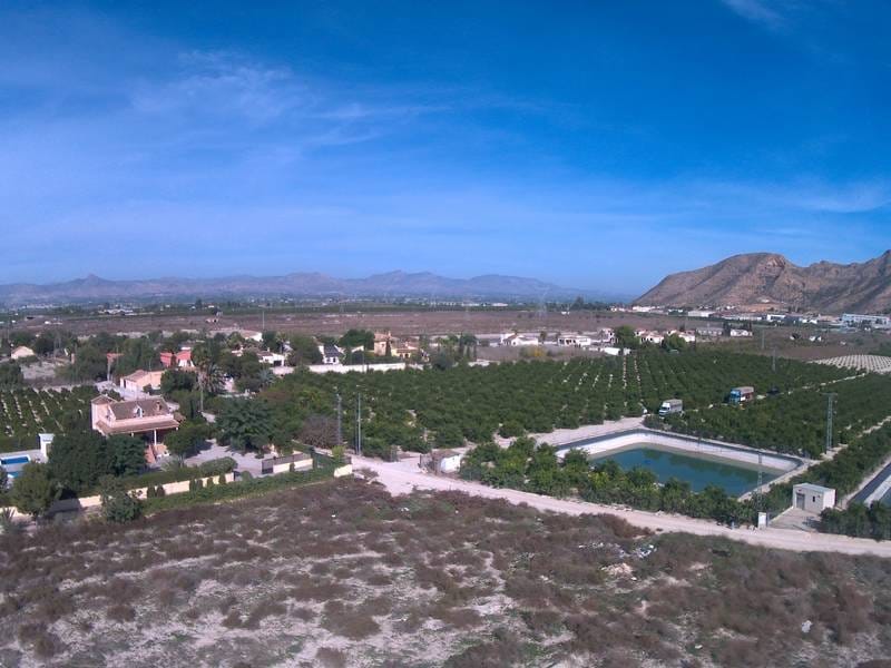 ПЛАНТАЦИЯ ЦИТРУСОВЫХ В ИСПАНИИ — фото 44