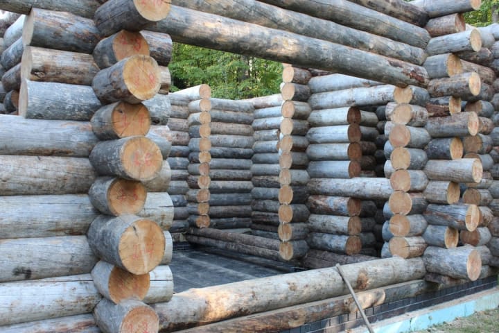 Сосна Кело сухая для домостроения, продажа оптом. — фото 4