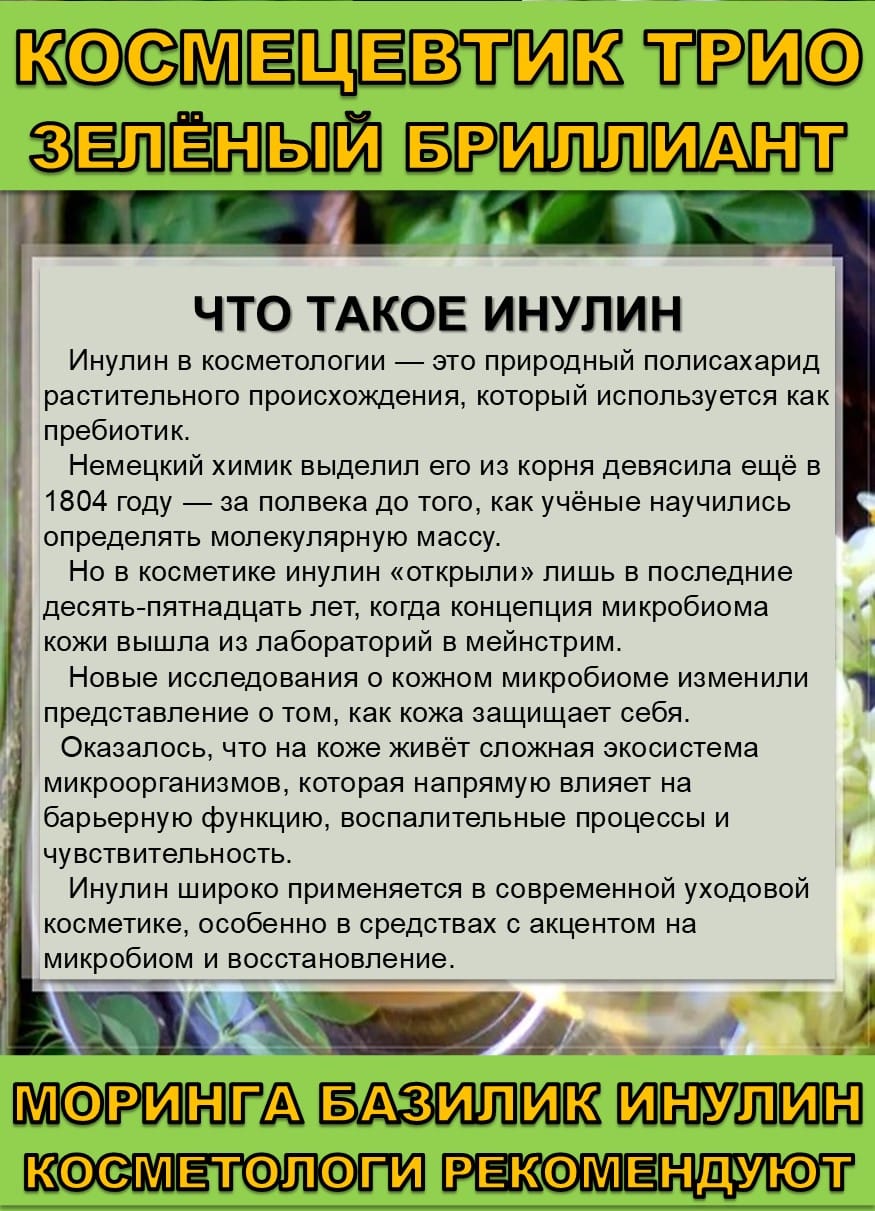 Космецевтик «Трио Зелёный бриллиант» для лица, тела и волос. Порошок листьев Моринги, Базилика и Инулин — фото 5