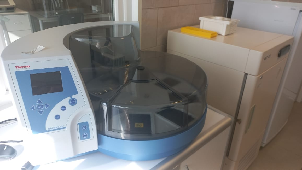 Процессор магнитных частиц для очистки нуклеиновых кислот, клеток и белков Kingfisher Flex