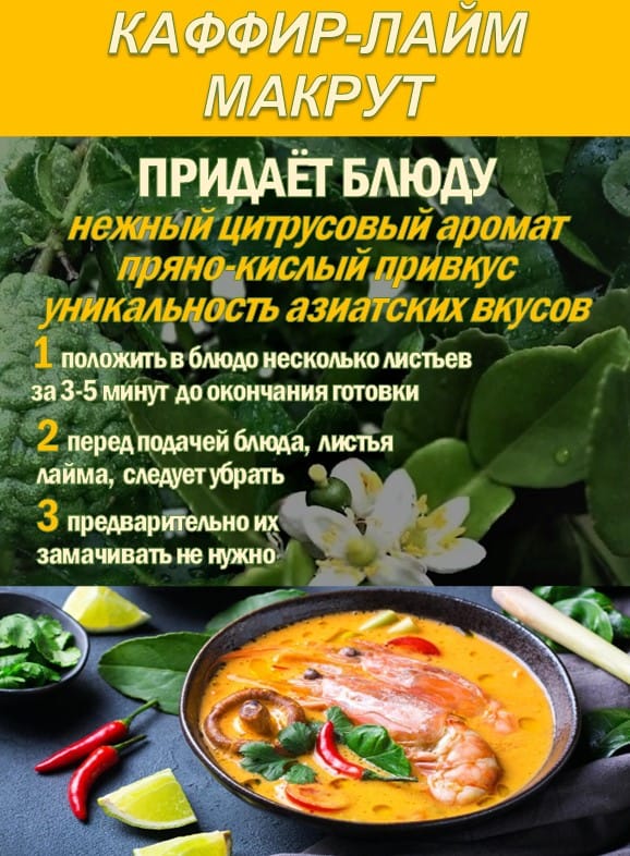КАФФИР-ЛАЙМ. МАКРУТ. Лист сушеный. — фото 2