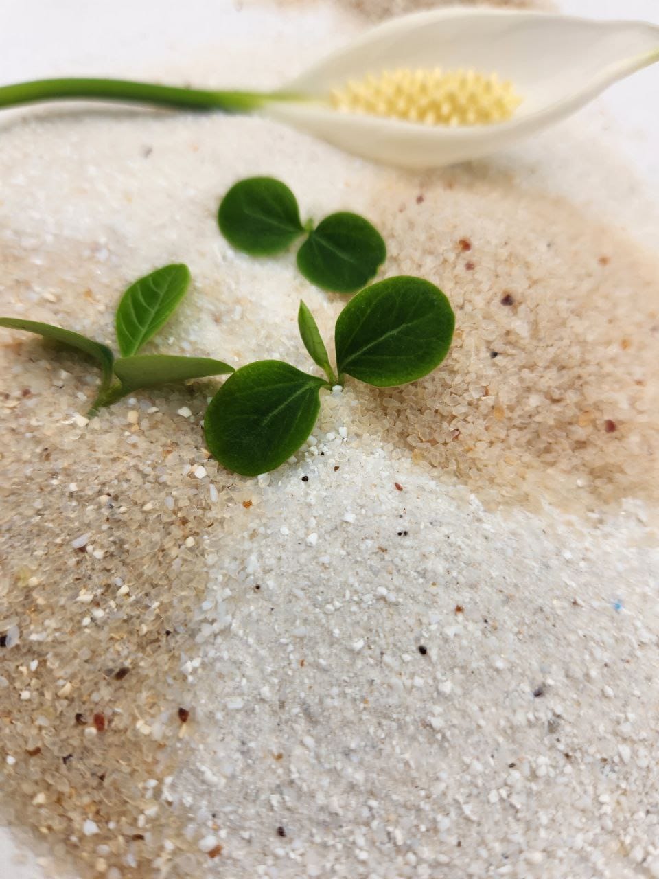 Силикагель для сушки цветов — фото 4