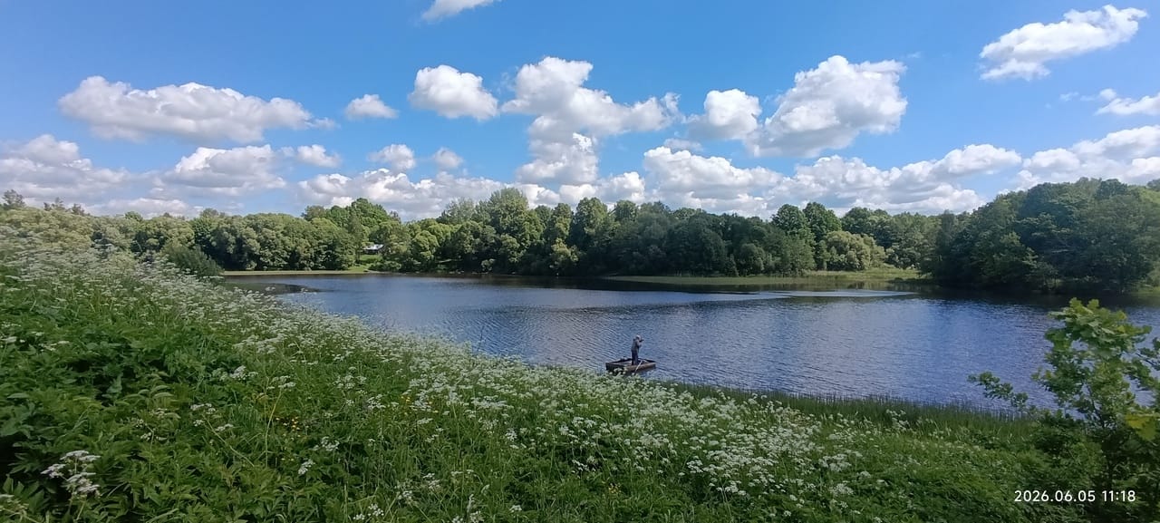 Жилой дом в д. Малеево, на берегу озера, земли 54 сотки — фото 10