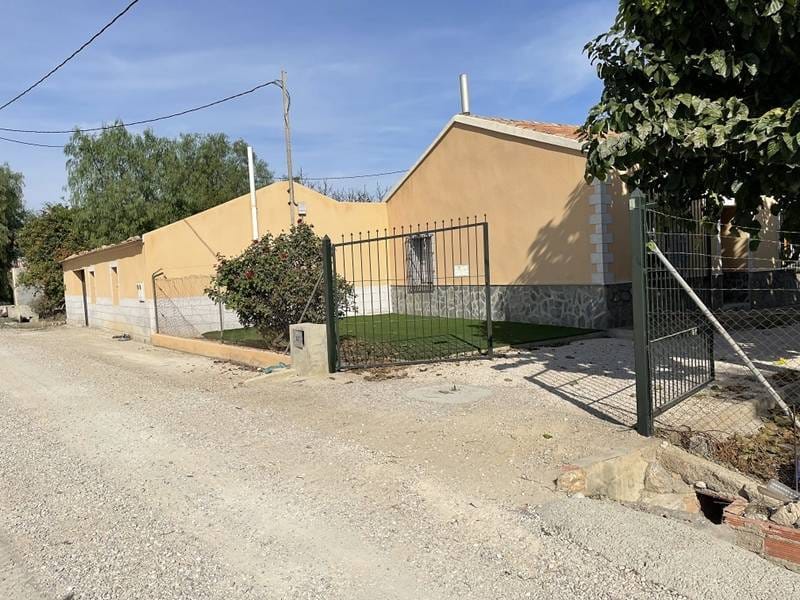 ПЛАНТАЦИЯ ЦИТРУСОВЫХ В ИСПАНИИ — фото 14