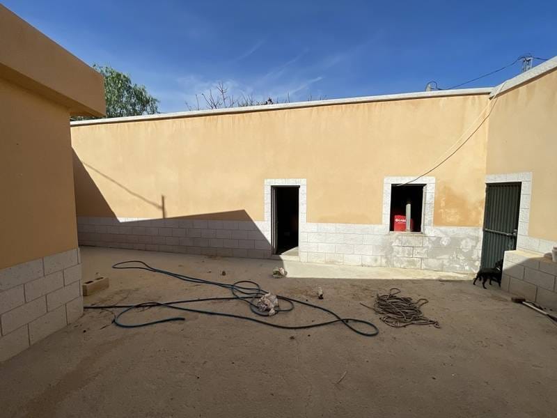 ПЛАНТАЦИЯ ЦИТРУСОВЫХ В ИСПАНИИ — фото 30