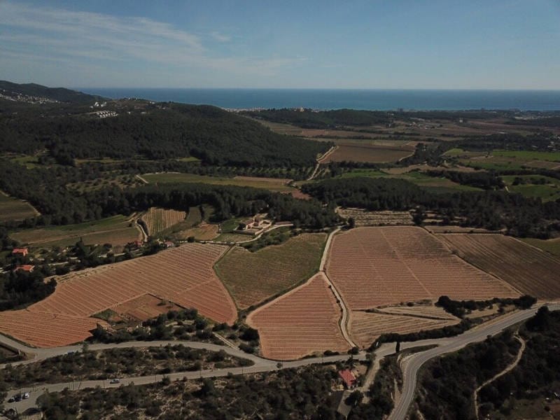 ПОМЕСТЬЕ С ВИНОГРАДНИКАМИ В ИСПАНИИ — фото 50
