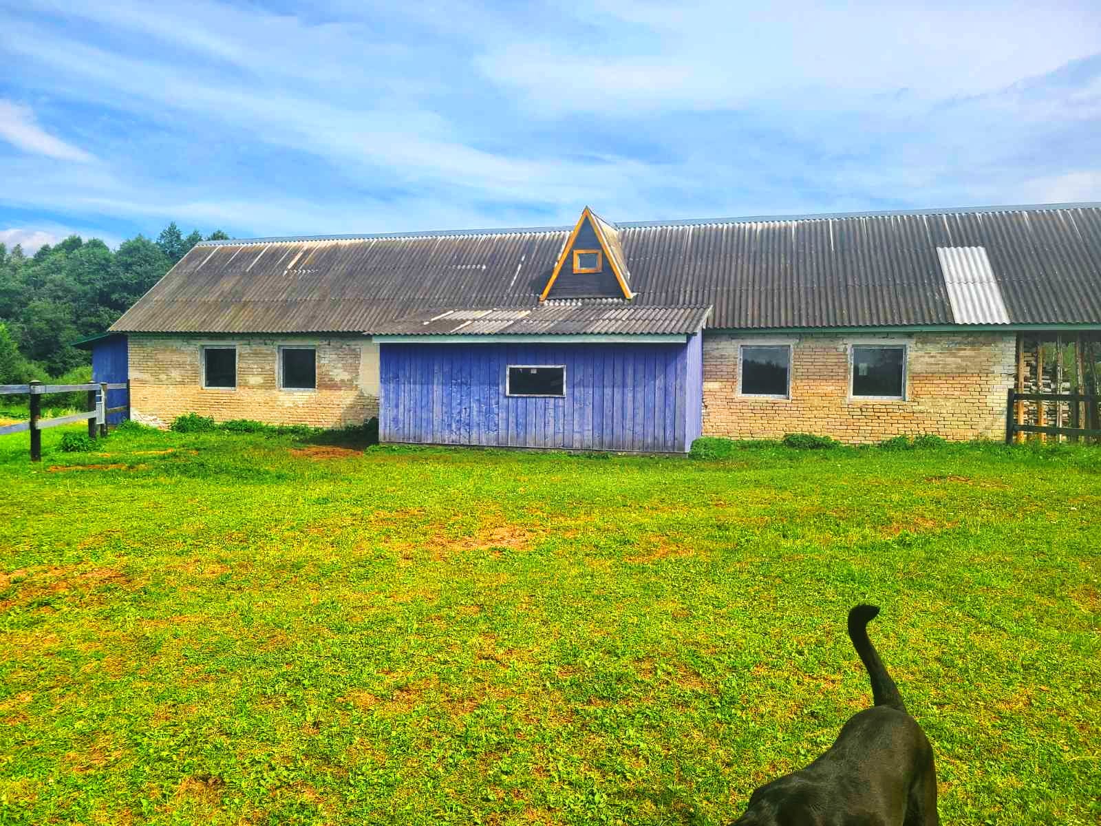 Продаётся фермерское хозяйство в Полоцком районе. — фото 3