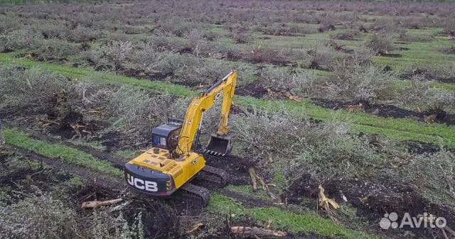 Расчистка территорий от деревьев и пней от 1 Га — фото 10