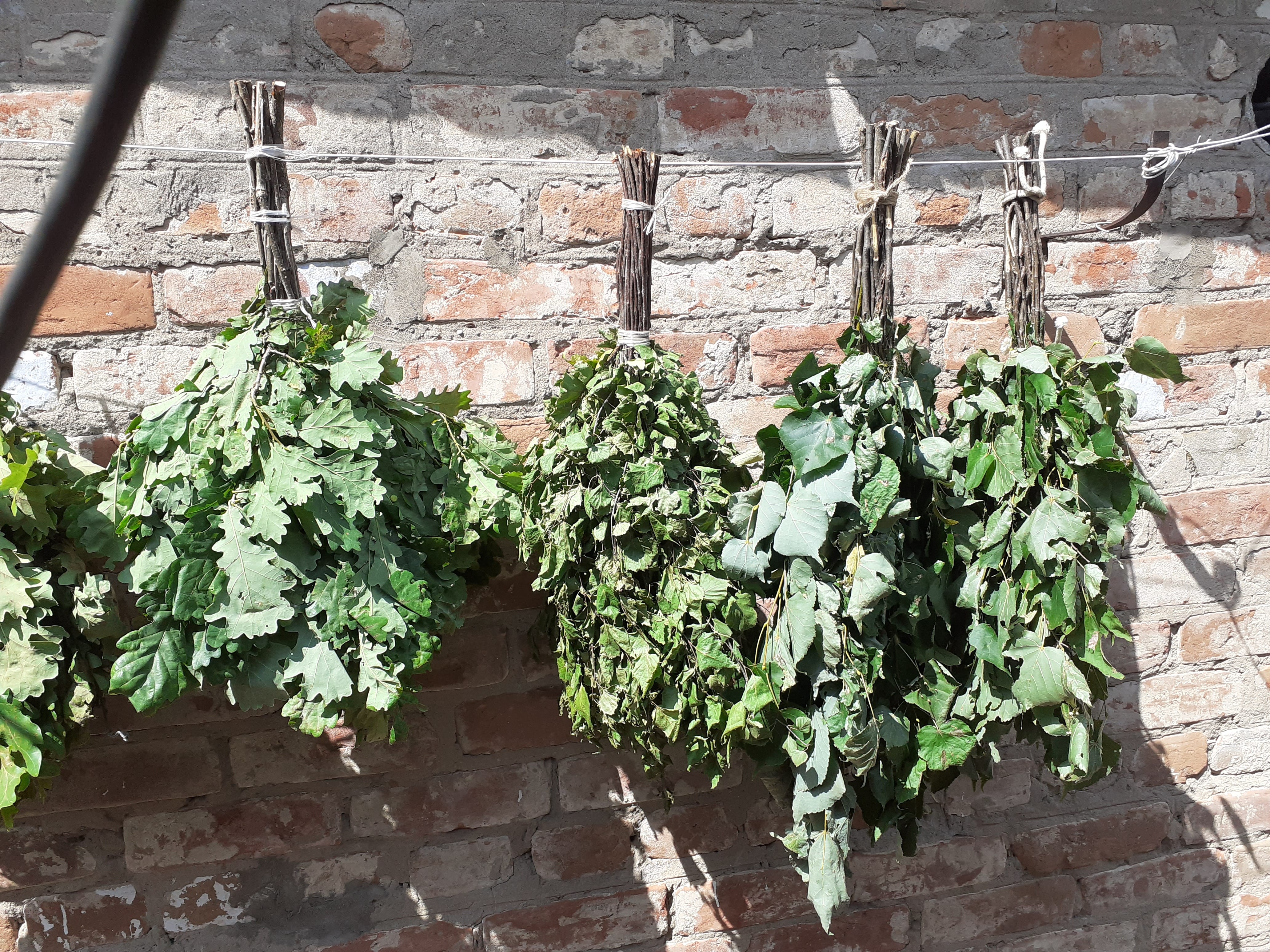 Веники для бани. — фото 8