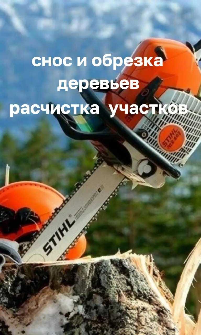 Снос и обрезка деревьев
