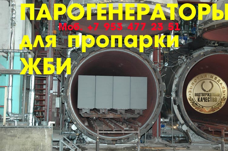 Парогенераторы для пропарочной камеры купить — фото 2