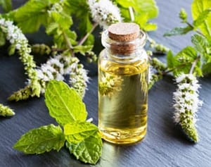 Отдушки для мыла и косметики. — фото 4