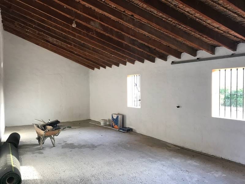 ПЛАНТАЦИЯ ЦИТРУСОВЫХ В ИСПАНИИ — фото 35