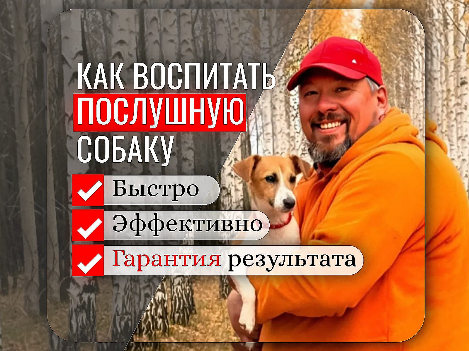 Школа для собак