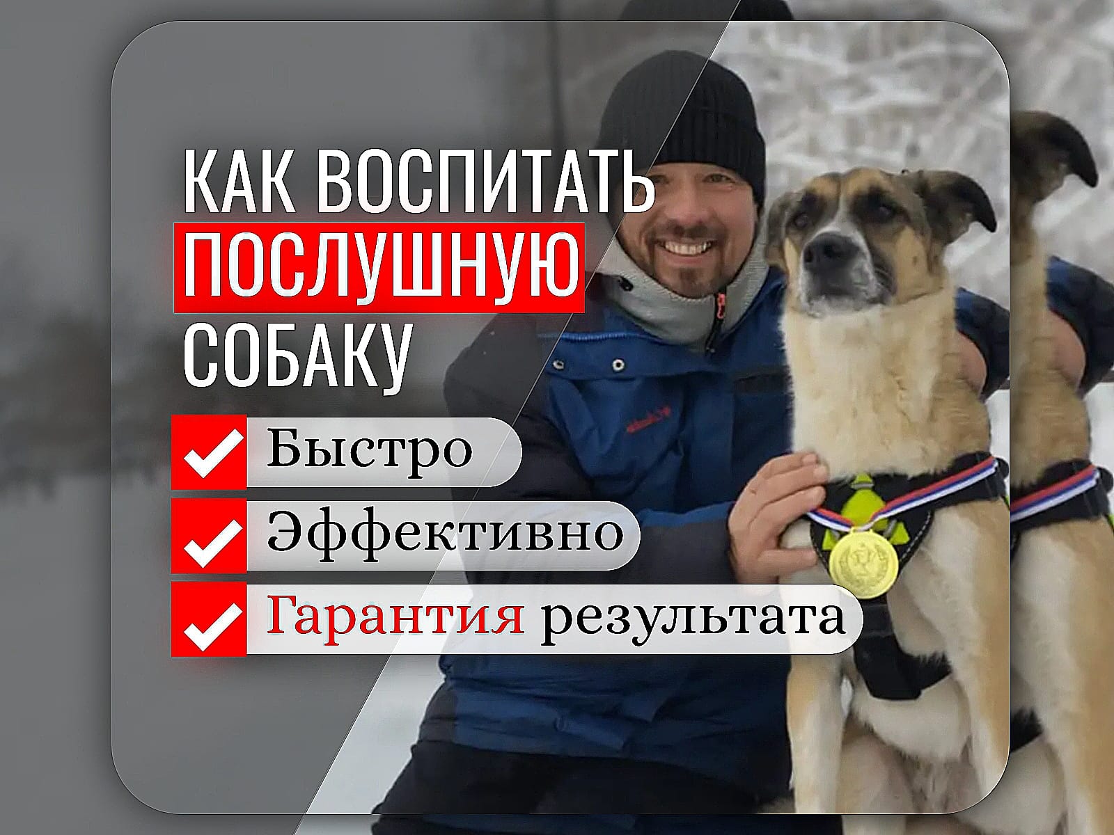 Профессиональная дрессировка собак всех пород в г. Набережные Челны и Тукаевском районе.