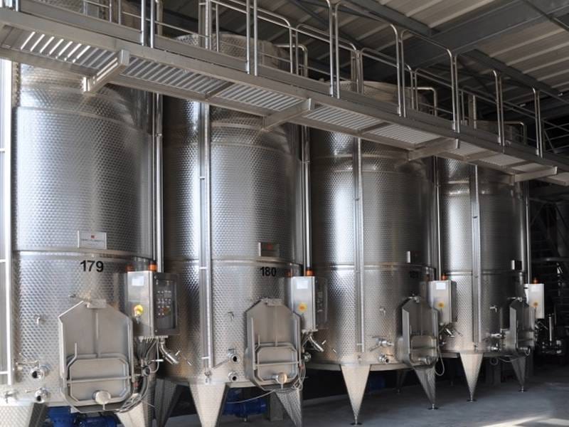 ВИНОДЕЛЬНЯ С ВИНГРАДНИКАМИ В ИСПАНИИ — фото 8