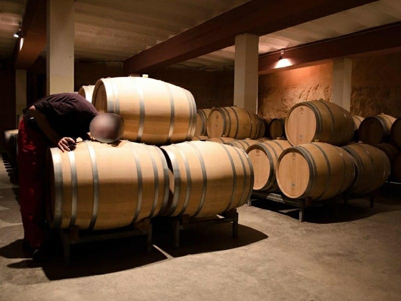 НЕБОЛЬШАЯ ВИНОДЕЛЬНЯ В ИСПАНИИ