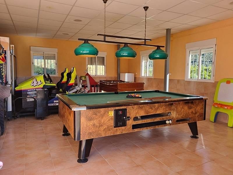 ПЛАНТАЦИЯ МАНДАРИНОВ В ИСПАНИИ — фото 15