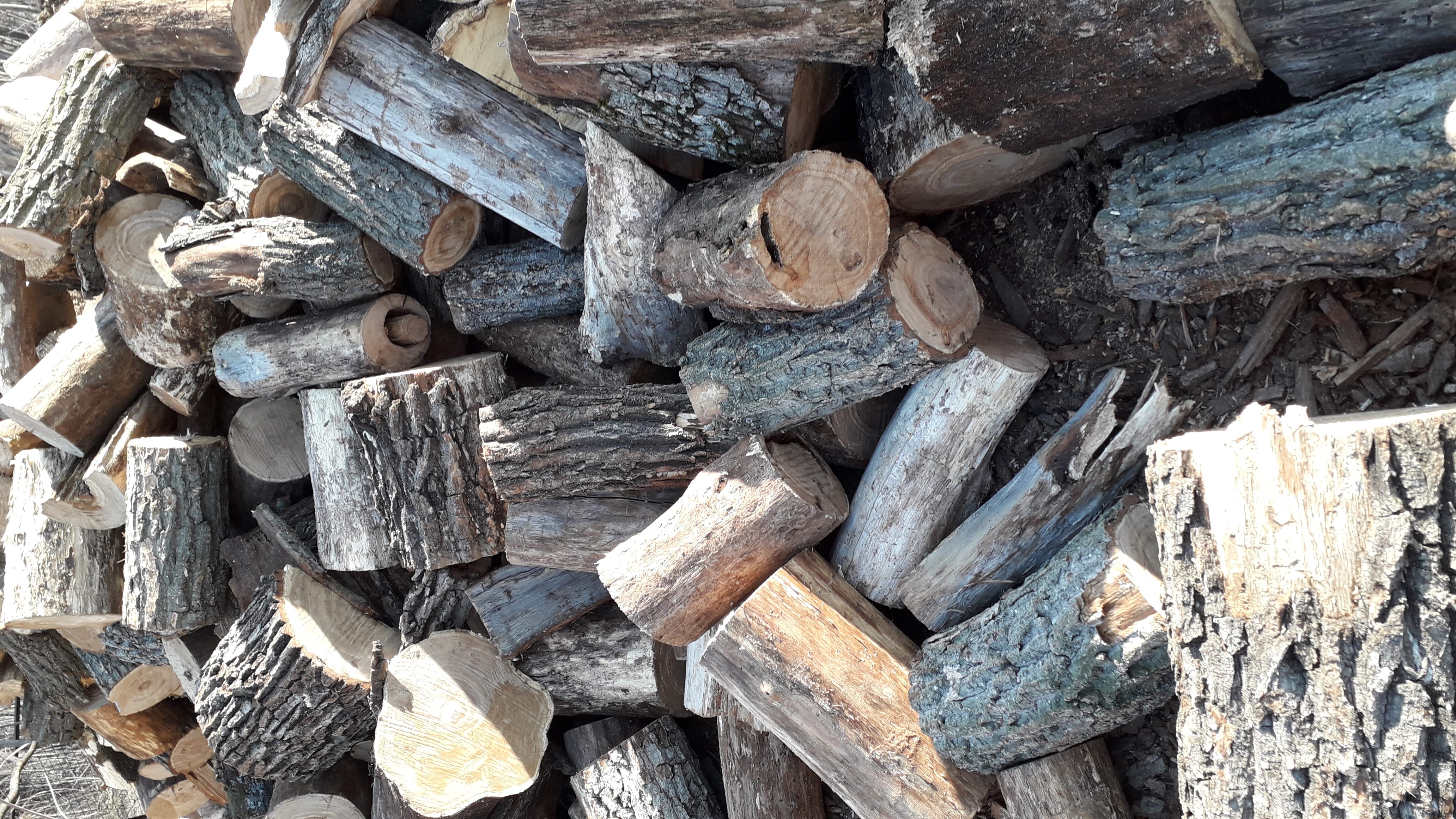 Дрова дубовые