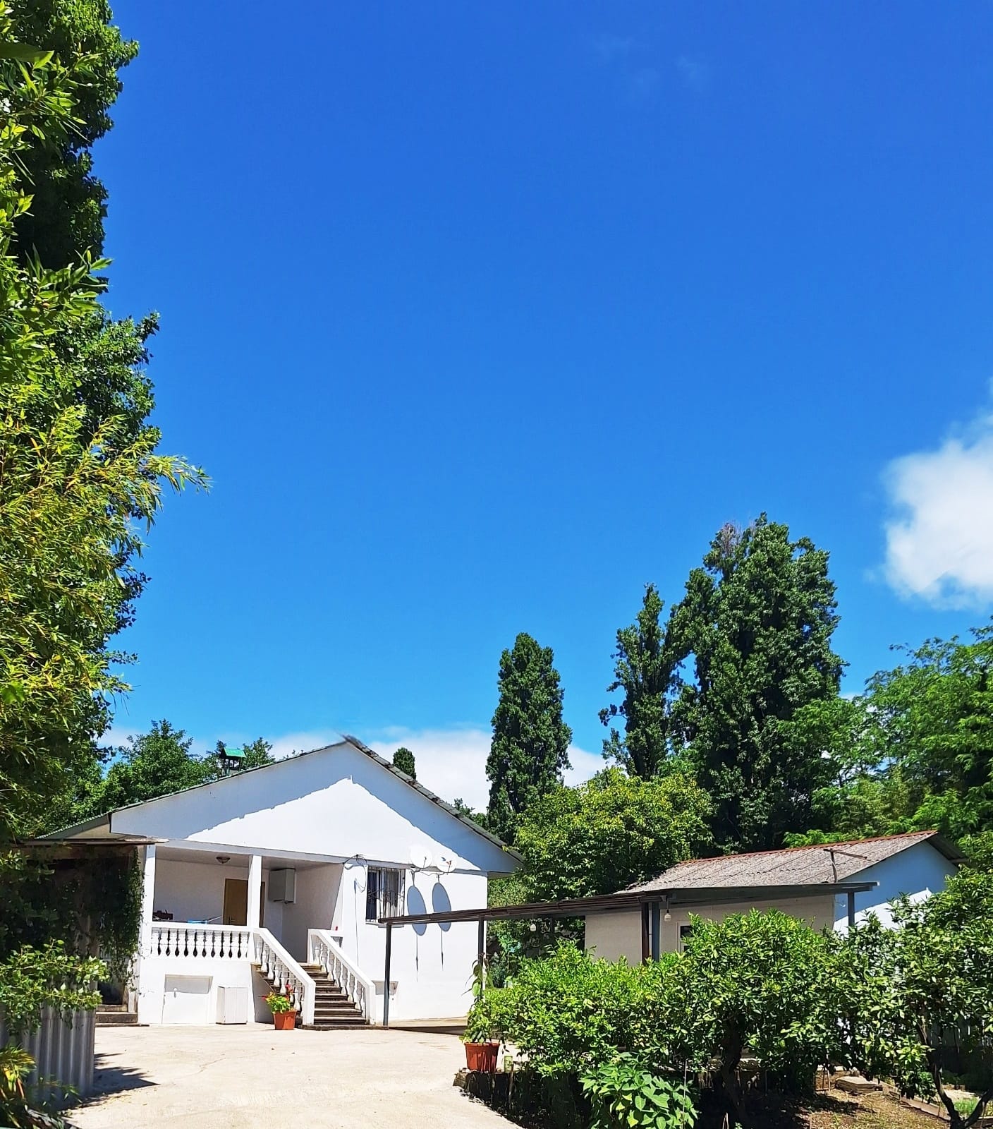 Дом жилой с садом 25 соток и море напротив!