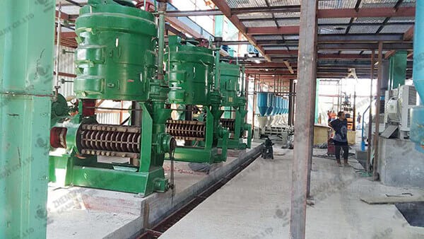 Линия для производства подсолнечного масла — фото 5