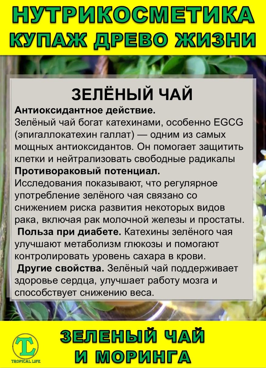 Нутрикосметика Купаж Древо Жизни Моринга и Зеленый чай — фото 5