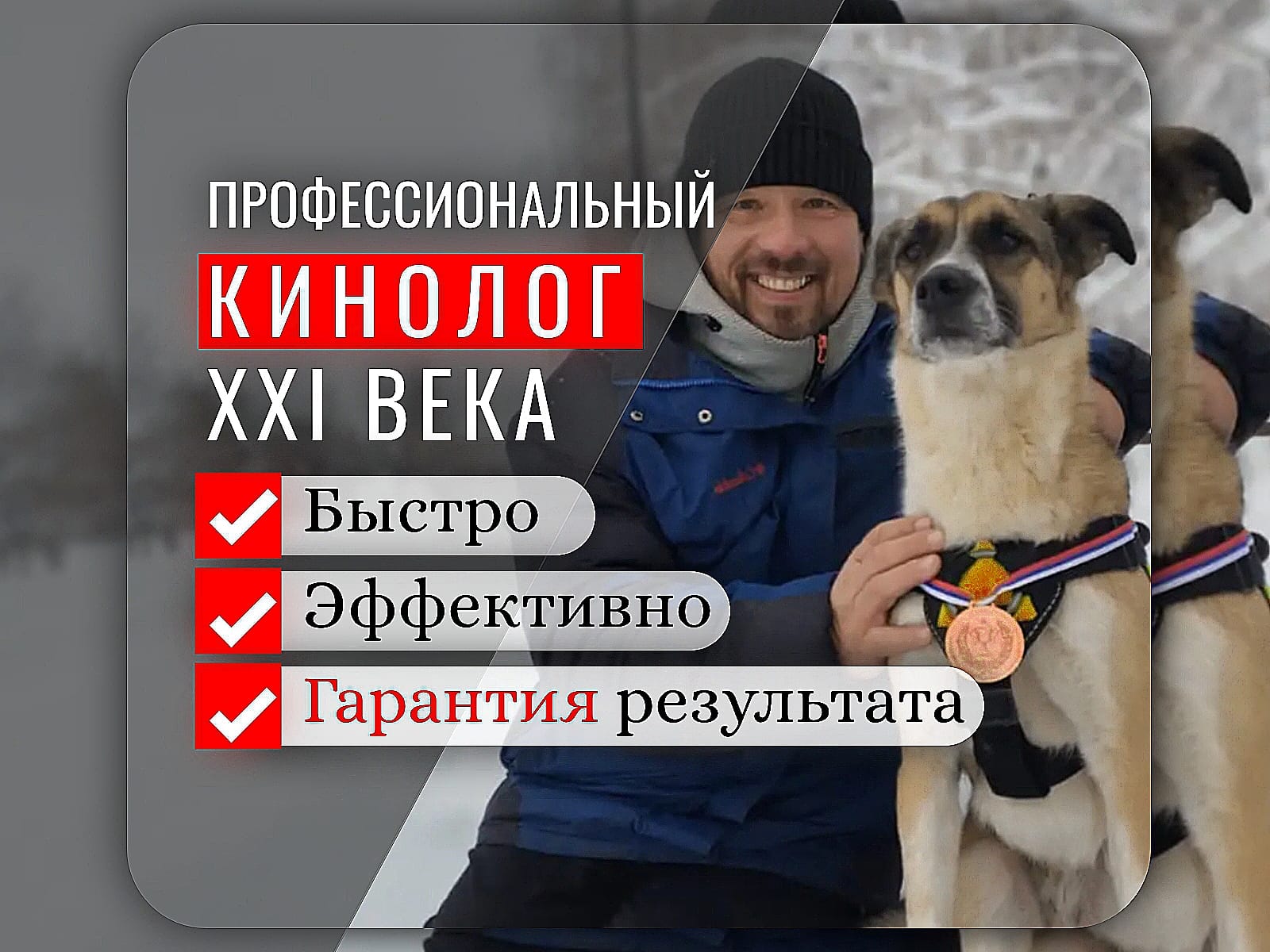 Дрессировка собак Альметьевск