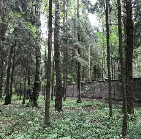 Продаю особняк в Подмосковье 1050 кв.  м.   с участком 26 сот.   13 км.   От МКАД. — фото 9