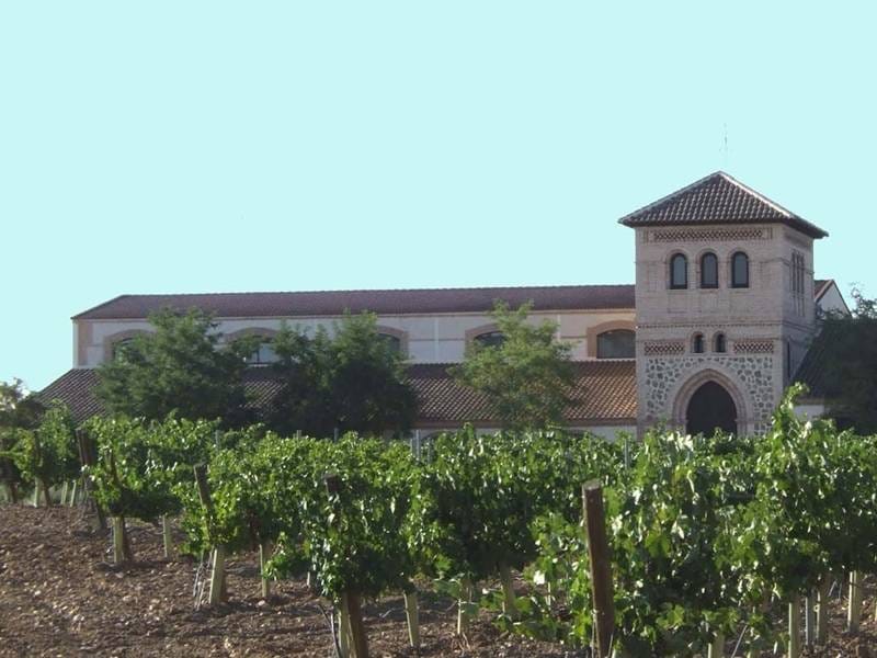 ВИНОДЕЛЬНЯ С ВИНГРАДНИКАМИ В ИСПАНИИ — фото 5