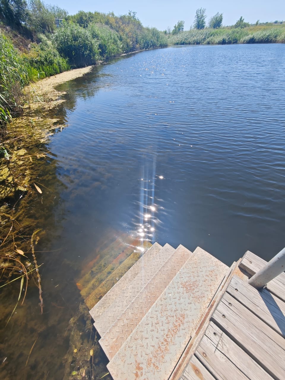 участок на берегу водоема