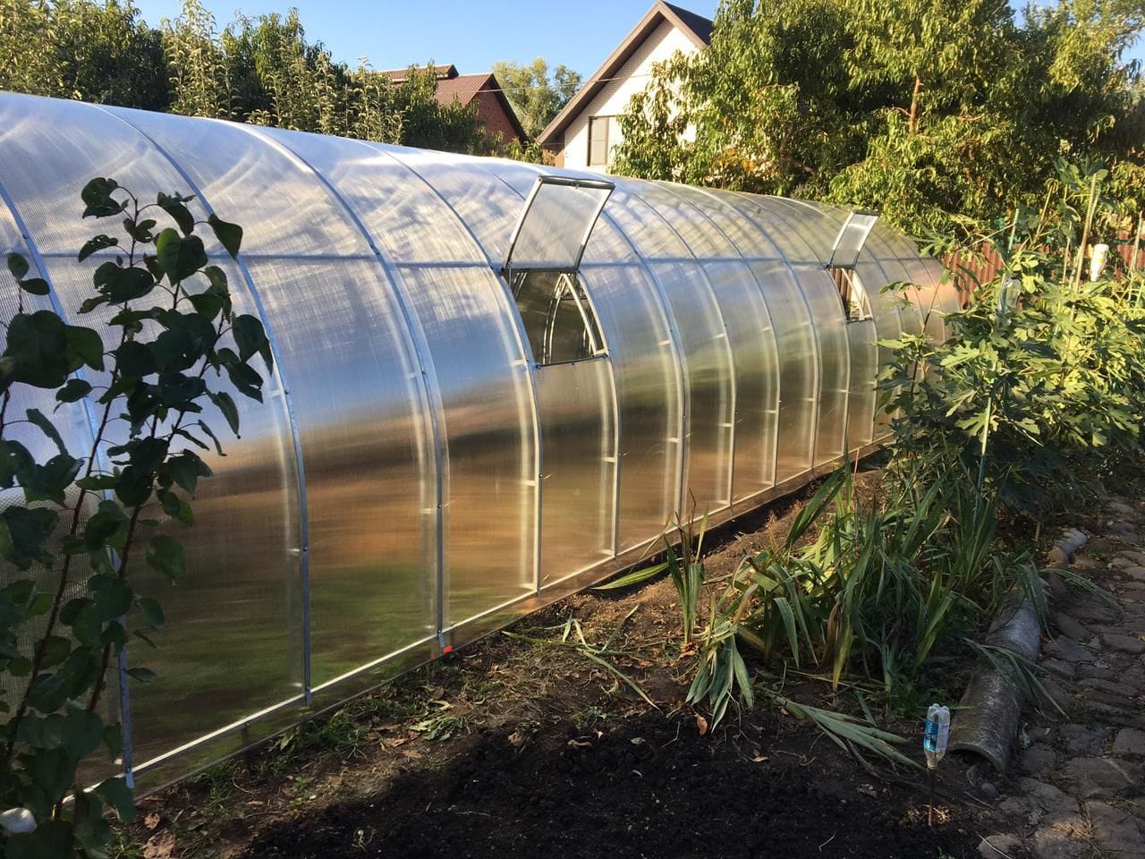 Теплицы. Распродажа от 19100р. Доставка по Краснодарскому Краю. — фото 2