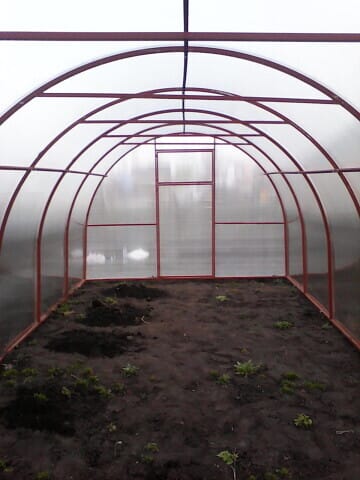 Теплица "Кузбасская" — фото 2