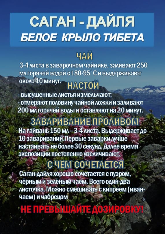 Фиточай Саган-Дайля. Белое Крыло. — фото 5