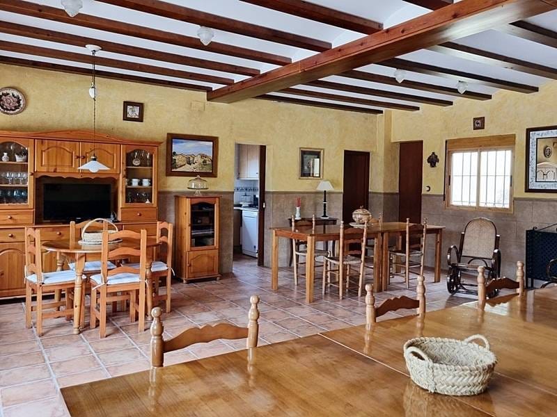 ПЛАНТАЦИЯ МАНДАРИНОВ В ИСПАНИИ — фото 6