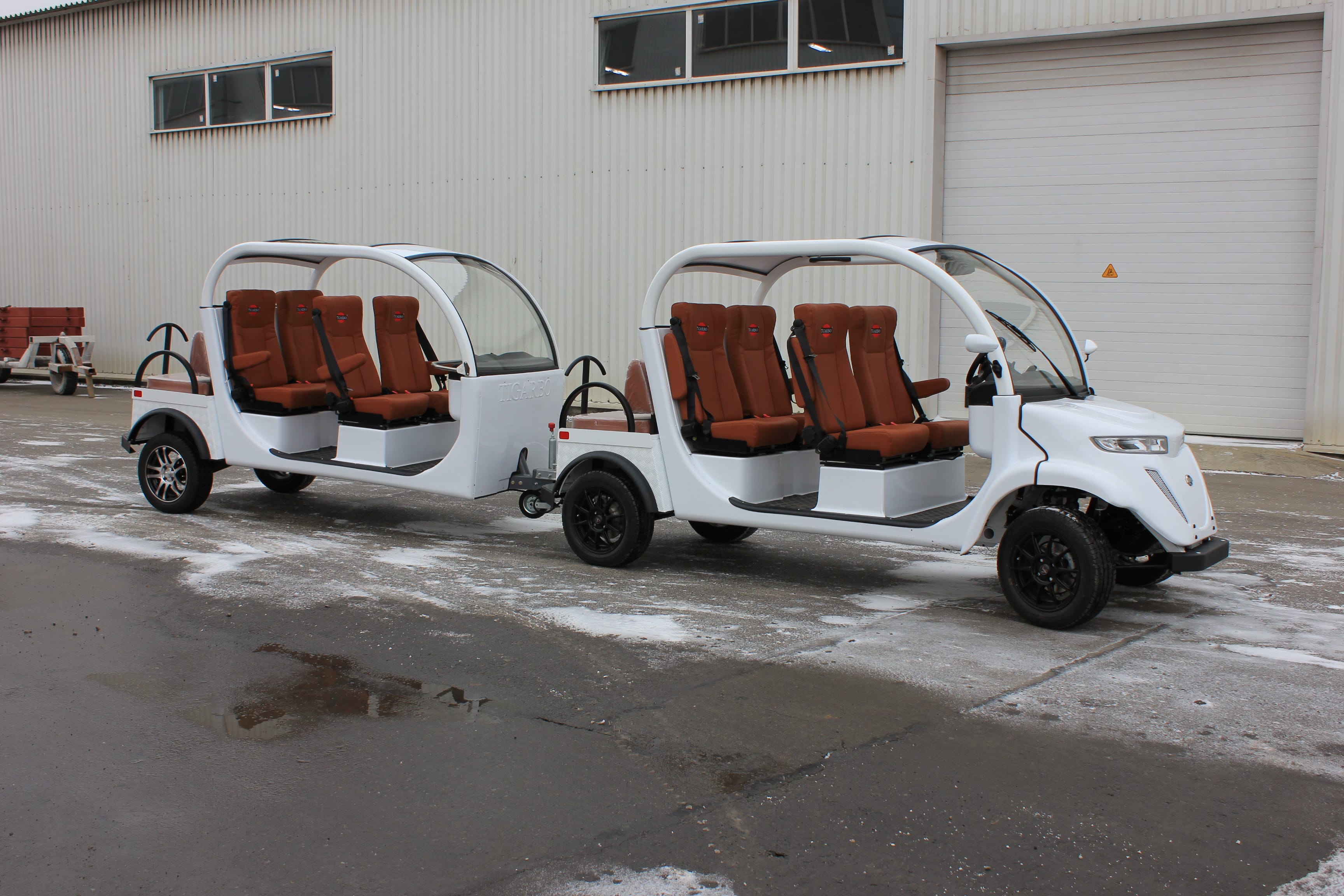 Электромобиль Elecar 5E-TIGARBO — фото 4