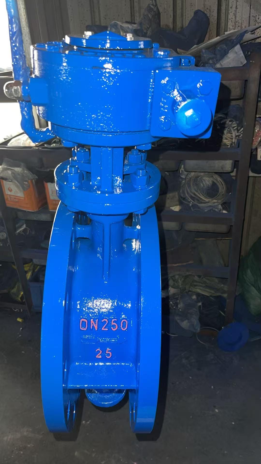 Затвор дисковый поворотный фланцевый ру25 ду250 с редуктором